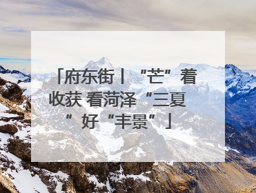 府东街丨“芒”着收获 看菏泽“三夏”好“丰景”