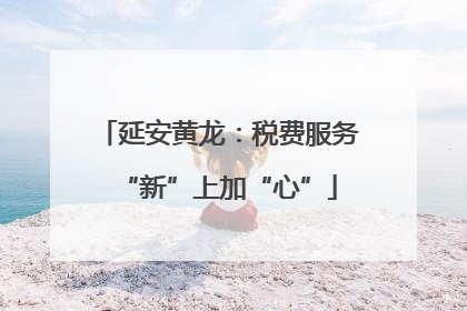 延安黄龙：税费服务“新”上加“心”