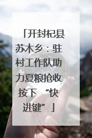 开封杞县苏木乡：驻村工作队助力夏粮抢收按下 “快进键”