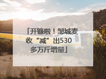 开镰啦！邹城麦收“减”出530多万斤增量