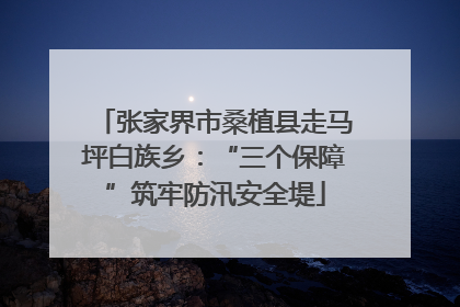 张家界市桑植县走马坪白族乡：“三个保障”筑牢防汛安全堤