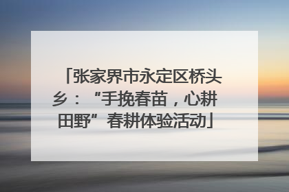 张家界市永定区桥头乡：“手挽春苗，心耕田野”春耕体验活动