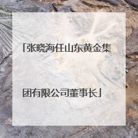 张晓海任山东黄金集团有限公司董事长