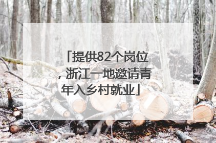 提供82个岗位，浙江一地邀请青年入乡村就业