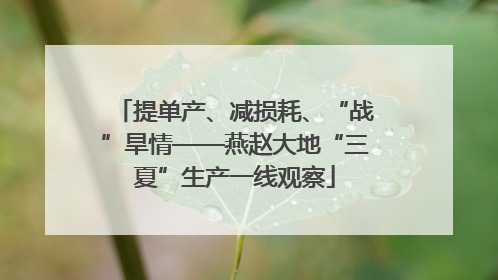 提单产、减损耗、“战”旱情——燕赵大地“三夏”生产一线观察