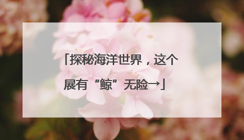 探秘海洋世界，这个展有“鲸”无险→