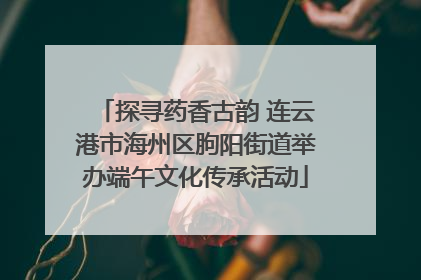 探寻药香古韵 连云港市海州区朐阳街道举办端午文化传承活动