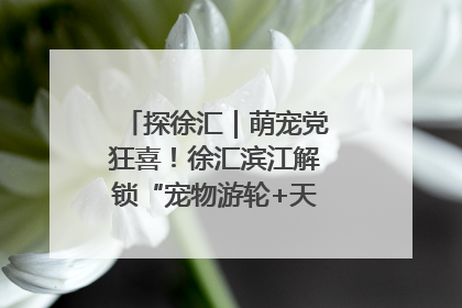 探徐汇｜萌宠党狂喜！徐汇滨江解锁“宠物游轮+天台乐园”双玩法