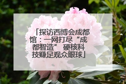 探访西博会成都馆：一网打尽“成都智造” 硬核科技赚足观众眼球