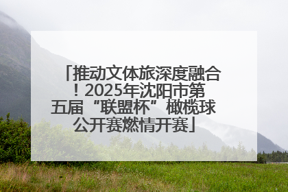 推动文体旅深度融合！2025年沈阳市第五届“联盟杯”橄榄球公开赛燃情开赛