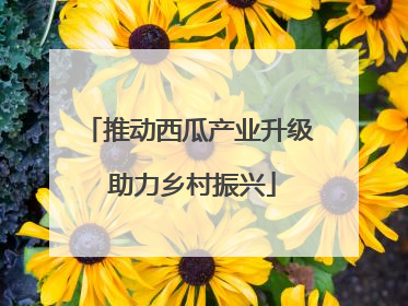 推动西瓜产业升级 助力乡村振兴