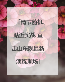 情节随机、贴近实战 直击山东舰最新演练现场