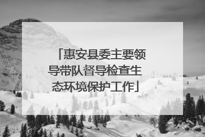 惠安县委主要领导带队督导检查生态环境保护工作