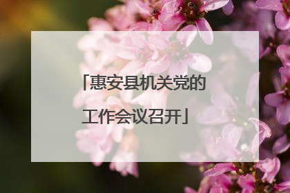 惠安县机关党的工作会议召开