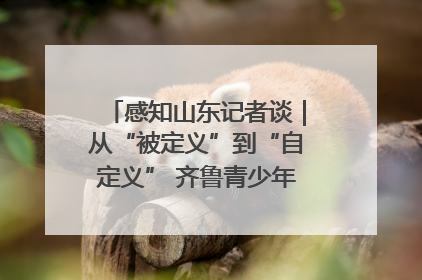 感知山东记者谈｜从“被定义”到“自定义” 齐鲁青少年书写时代新篇