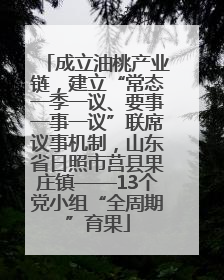 成立油桃产业链，建立“常态一季一议、要事一事一议”联席议事机制，山东省日照市莒县果庄镇——13个党小组“全周期”育果