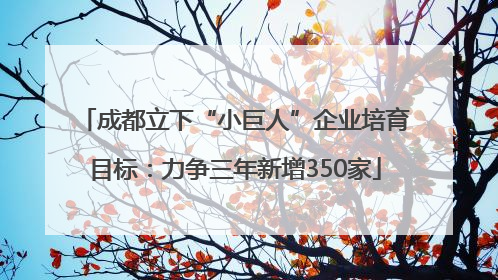 成都立下“小巨人”企业培育目标：力争三年新增350家