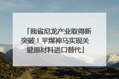我省尼龙产业取得新突破！平煤神马实现关键原材料进口替代