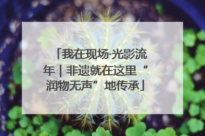 我在现场·光影流年｜非遗就在这里“润物无声”地传承