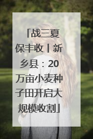 战三夏 保丰收丨新乡县：20万亩小麦种子田开启大规模收割