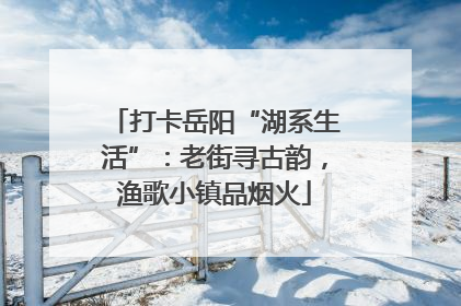 打卡岳阳“湖系生活”：老街寻古韵，渔歌小镇品烟火