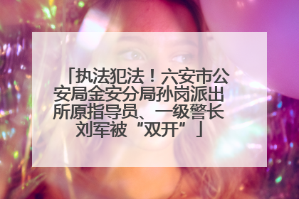 执法犯法！六安市公安局金安分局孙岗派出所原指导员、一级警长刘军被“双开”