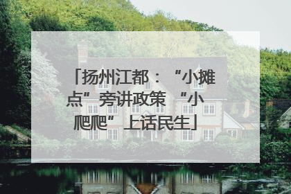 扬州江都：“小摊点”旁讲政策 “小爬爬”上话民生