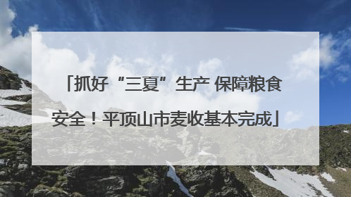 抓好“三夏”生产 保障粮食安全！平顶山市麦收基本完成