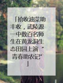 抢收油菜助丰收，武陵源一中数百名师生在黄龙洞生态田园上演“青春助农记”