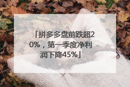 拼多多盘前跌超20%，第一季度净利润下降45%