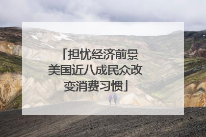 担忧经济前景 美国近八成民众改变消费习惯