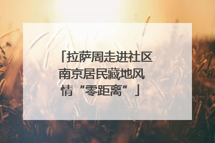拉萨周走进社区 南京居民藏地风情“零距离”