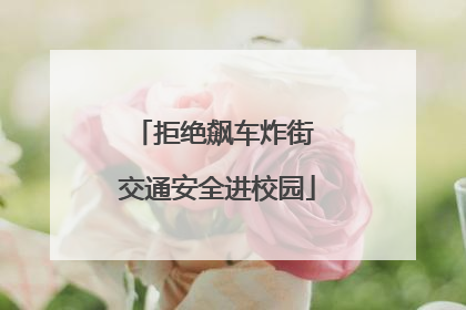 拒绝飙车炸街 交通安全进校园