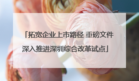 拓宽企业上市路径 重磅文件深入推进深圳综合改革试点