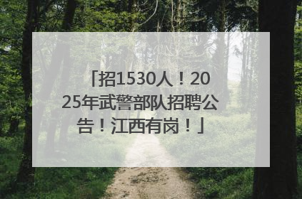 招1530人！2025年武警部队招聘公告！江西有岗！