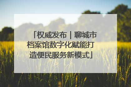 权威发布｜聊城市档案馆数字化赋能打造便民服务新模式