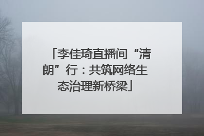 李佳琦直播间“清朗”行：共筑网络生态治理新桥梁