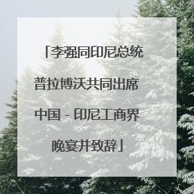 李强同印尼总统普拉博沃共同出席中国－印尼工商界晚宴并致辞