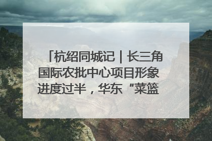 杭绍同城记｜长三角国际农批中心项目形象进度过半，华东“菜篮子”建设加码提速！