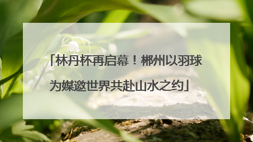 林丹杯再启幕！郴州以羽球为媒邀世界共赴山水之约