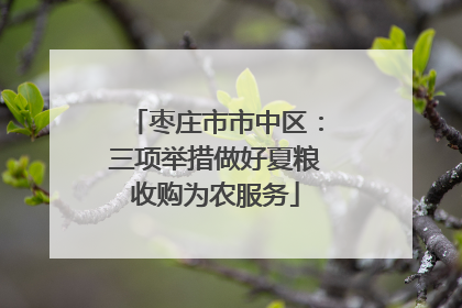 枣庄市市中区：三项举措做好夏粮收购为农服务
