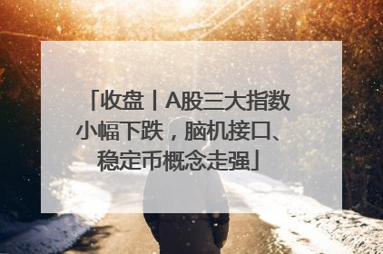 收盘丨A股三大指数小幅下跌，脑机接口、稳定币概念走强