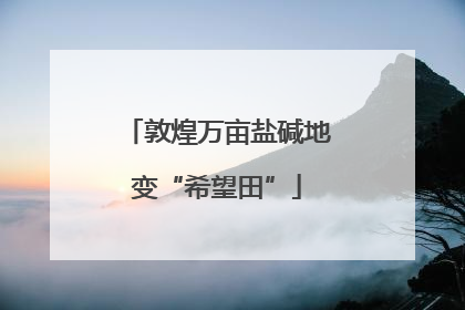 敦煌万亩盐碱地变“希望田”