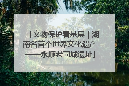 文物保护看基层｜湖南省首个世界文化遗产——永顺老司城遗址