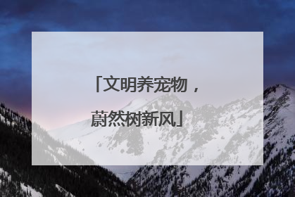 文明养宠物，蔚然树新风
