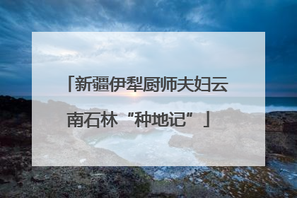 新疆伊犁厨师夫妇云南石林“种地记”