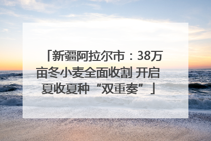 新疆阿拉尔市：38万亩冬小麦全面收割 开启夏收夏种“双重奏”