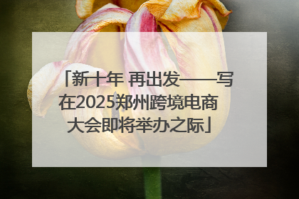 新十年 再出发——写在2025郑州跨境电商大会即将举办之际