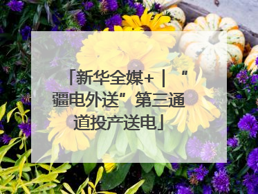 新华全媒+｜“疆电外送”第三通道投产送电