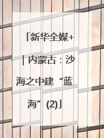 新华全媒+｜内蒙古：沙海之中建“蓝海”(2)
